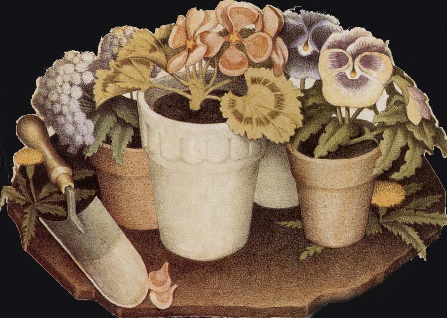 Grant Wood Cultivation of Flower